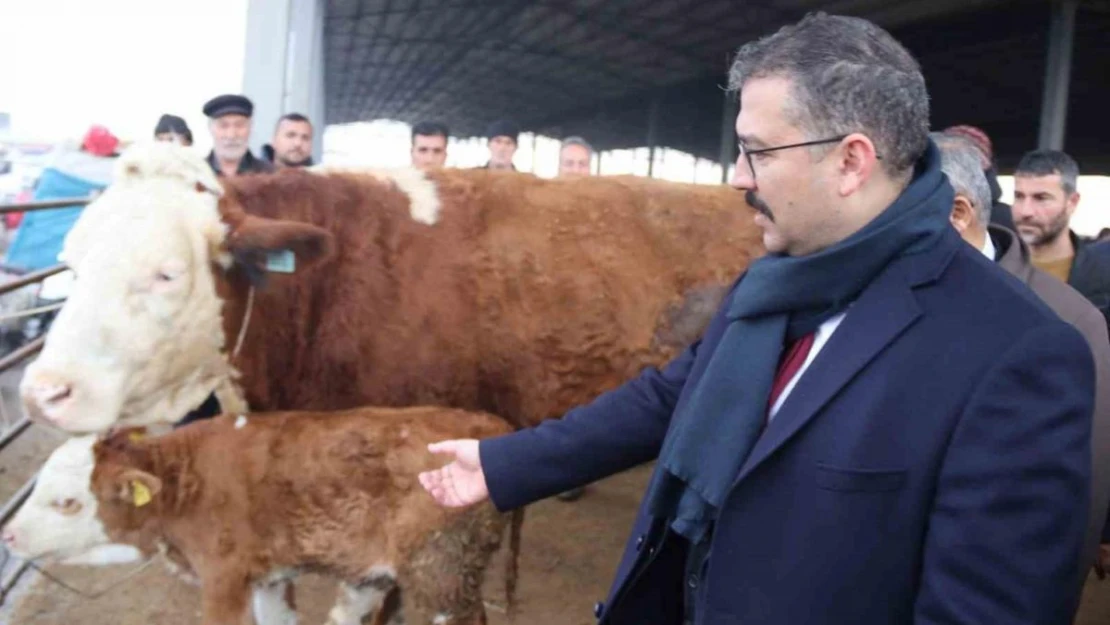 Şap hastalığından dolayı kapalı olan Iğdır Hayvan Borsası yeniden kullanıma açıldı