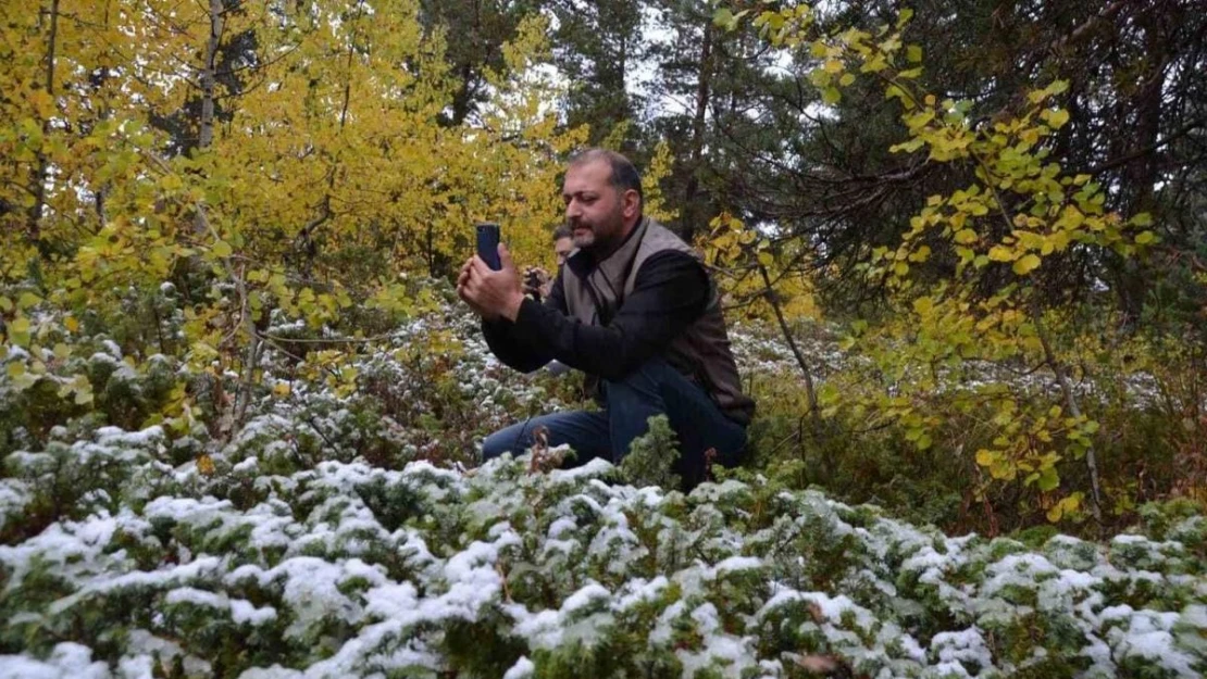 Sarıçam ormanları beyaz örtüyle kaplandı