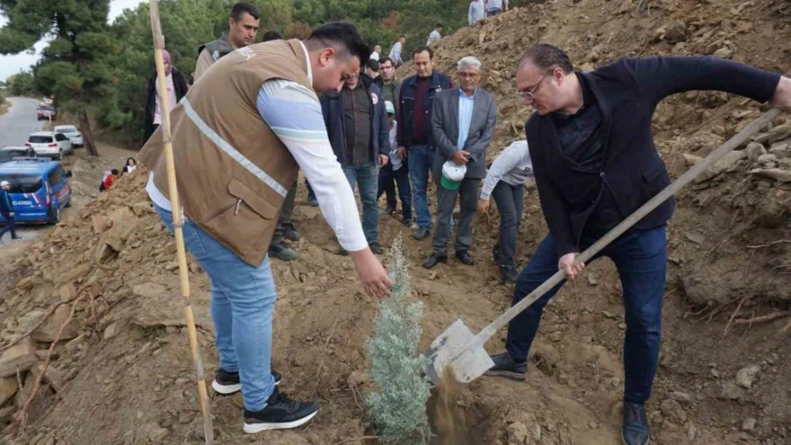 Sarıgöl'de fidanlar yanan ormanlık alana dikildi