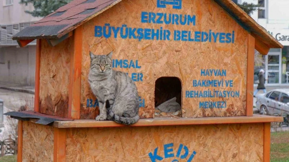 Sekmen 'Her can bize emanet'