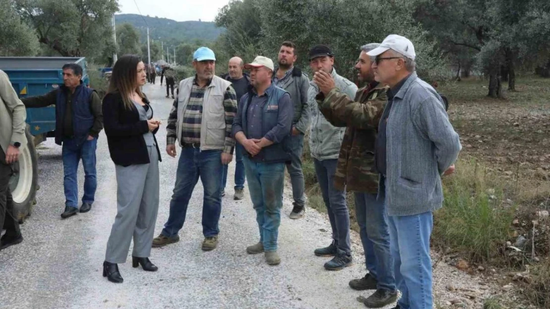 Selçuk'ta zarara uğrayan üzüm üreticilerine 500 ton kompost gübre desteği