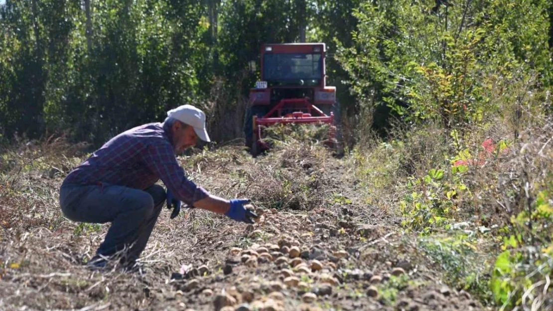 Selçuklu Belediyesi tarımsal üretime katkı sağlamaya devam ediyor