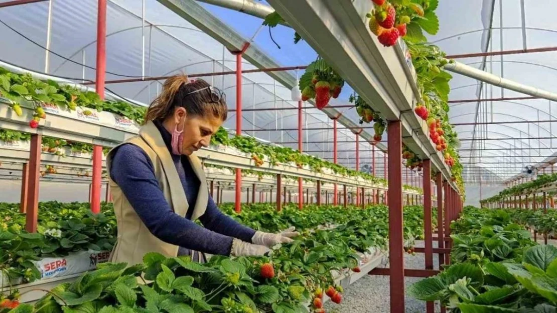 Seracılıkta kendini kanıtladı, şimdi başkalarını üretici yapmak istiyor