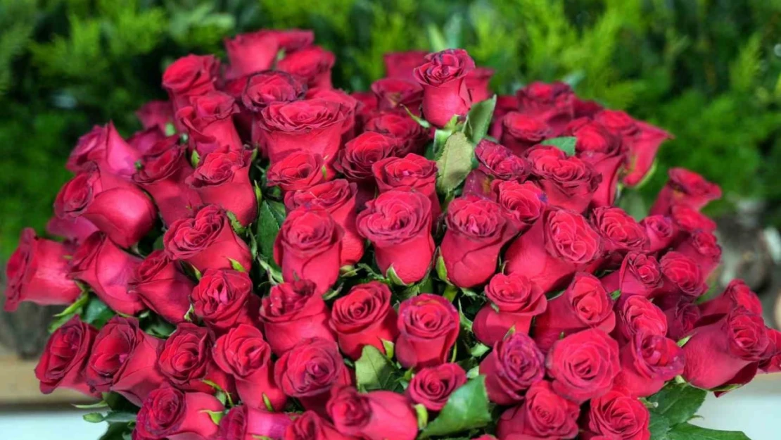 Sevgililer Günü heyecanı başladı Her 4 çiçekten üçü internet üzerinden alınıyor