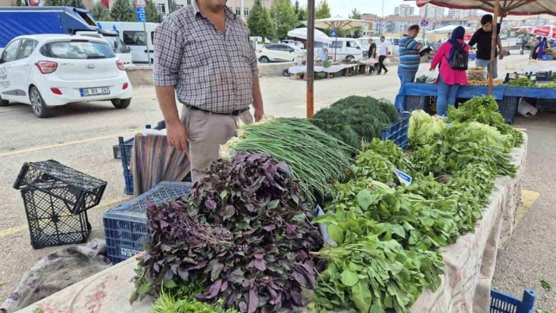 Sincan'da 'Üretici Köylü' pazarları 4 noktada hizmet veriyor