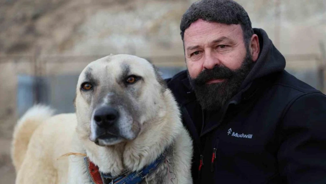 Sınır ötesi güvenliği için kangal tavsiyesi