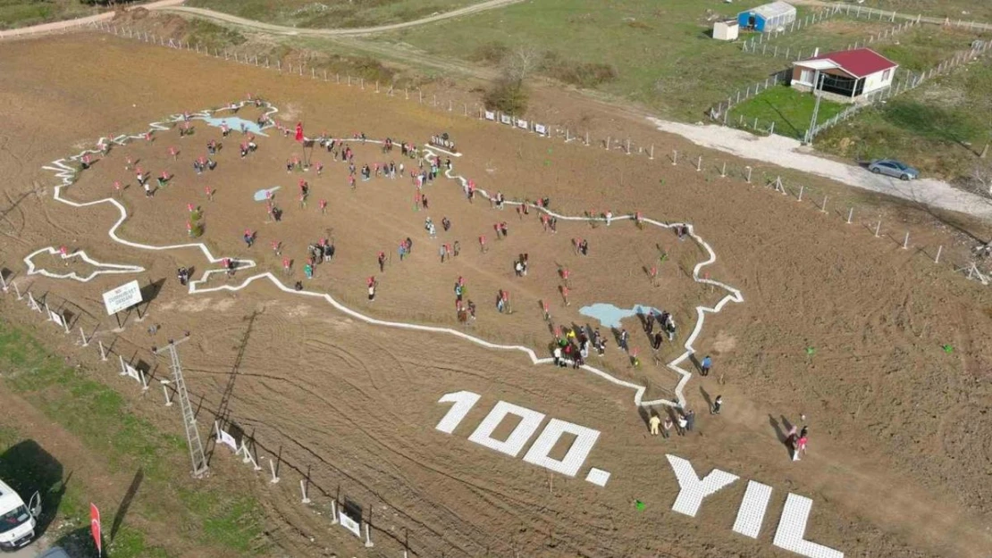 Sinop'ta 100 bin fidan toprakla buluştu