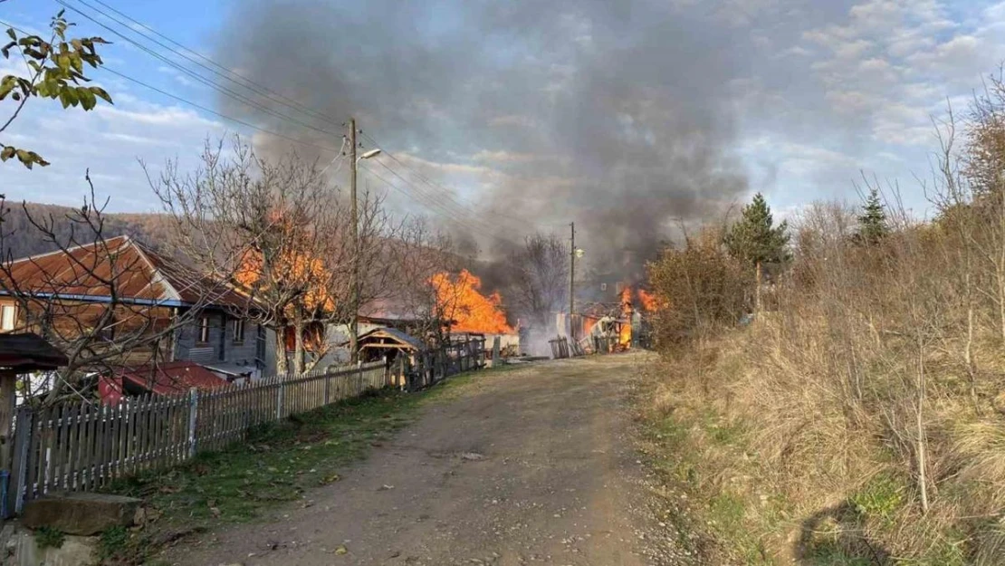 Sinop'ta çıkan yangında 1 ev, 1 ahır ve 1 ambar kül oldu