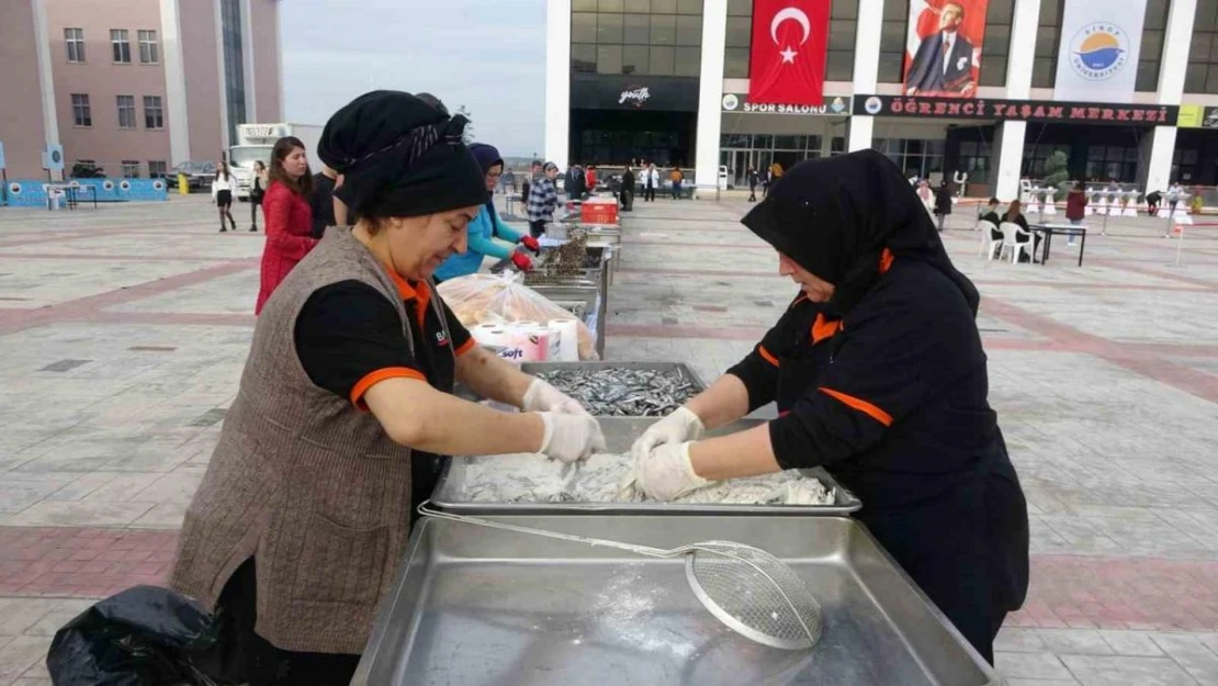 Sinop'ta hamsi şenliği: 1 ton hamsi tüketildi