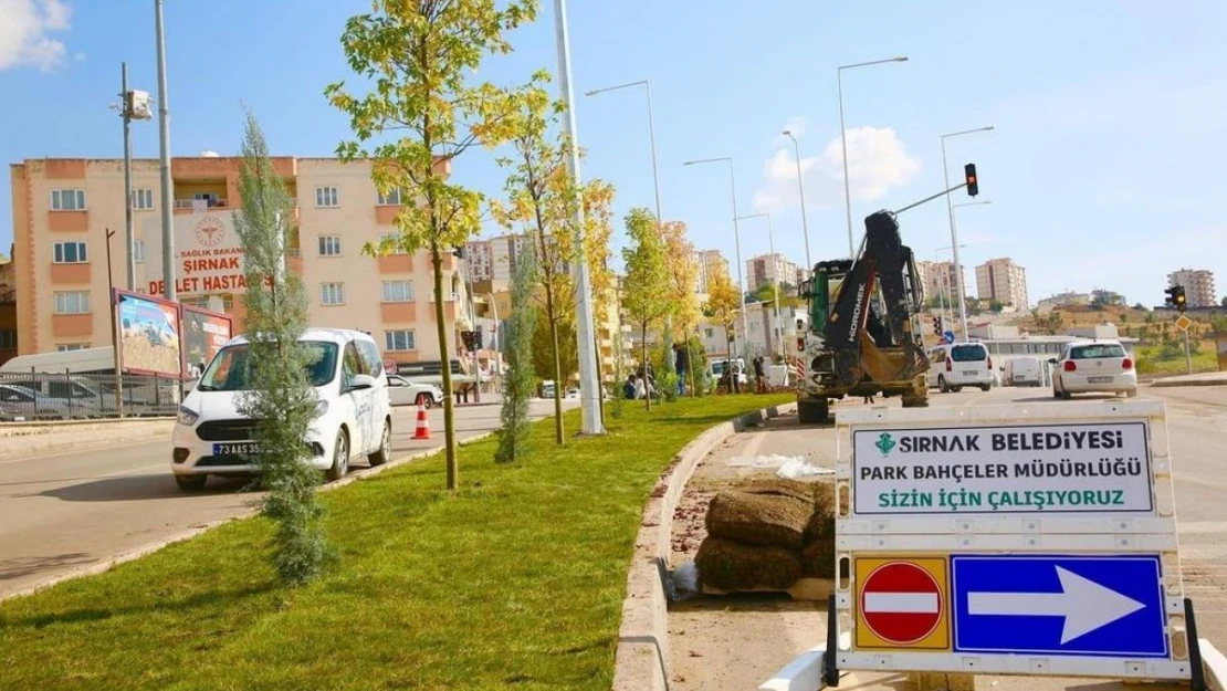 Şırnak belediyesi yeşillendirme çalışmaları başlattı