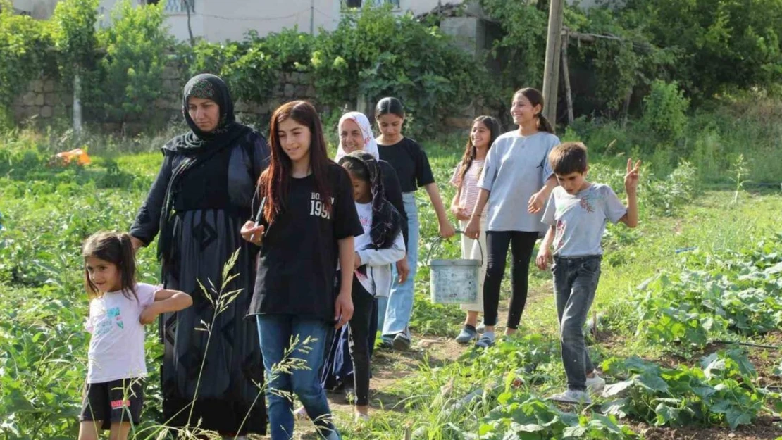 Şırnak'ın sebze ihtiyacını karşılamak için harekete geçildi