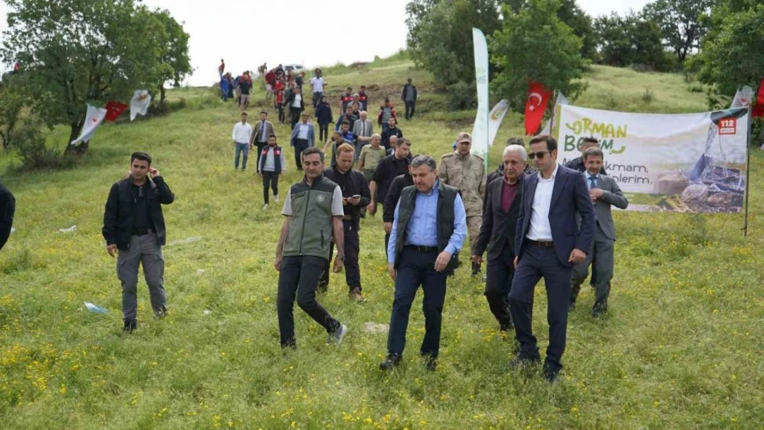 Şırnak'ta 'Orman Benim' etkinliği düzenlendi