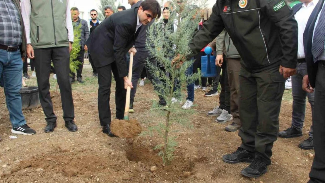 Şırnak'ta 250 bin fidan toprakla buluşacak