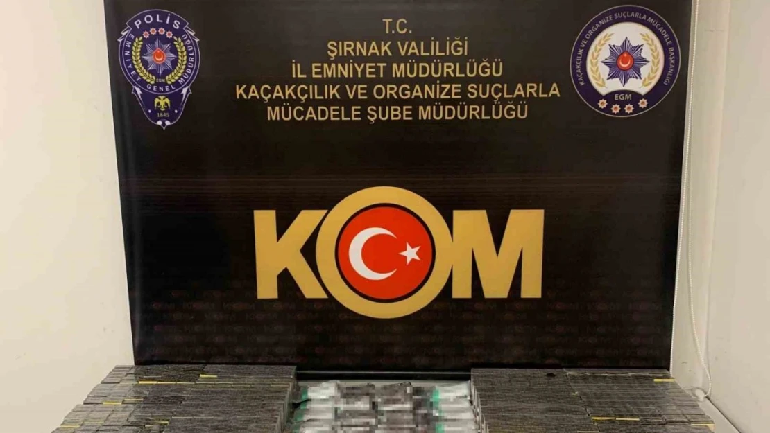 Şırnak'ta asayiş ve kaçakçılık operasyonu: 62 gözaltı