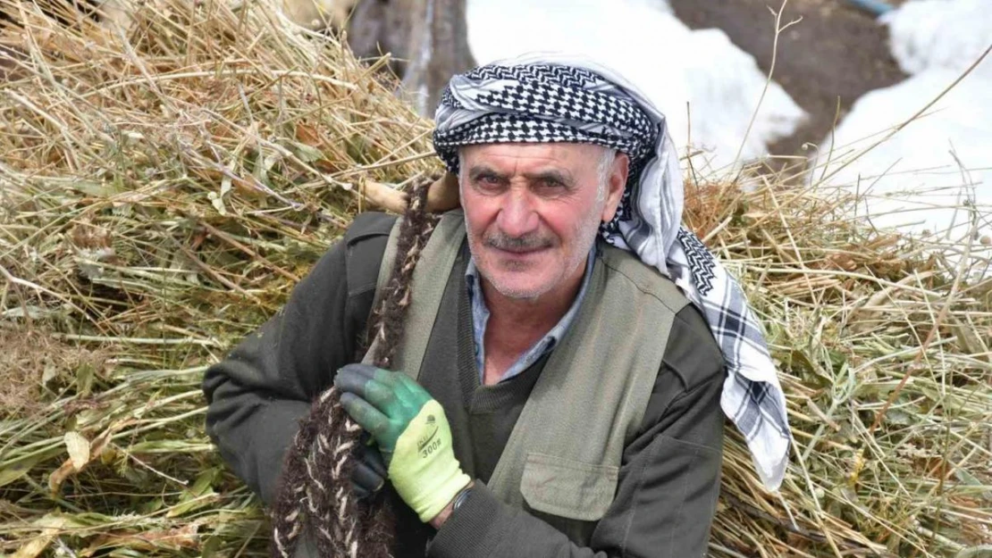 Şırnak'ta besiciler yemleri sırtlayarak hayvanlarını besliyor