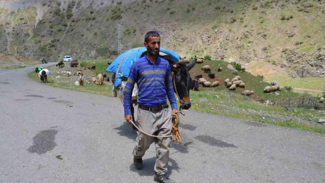 Şırnak'ta göçerler yaylaya ulaştı