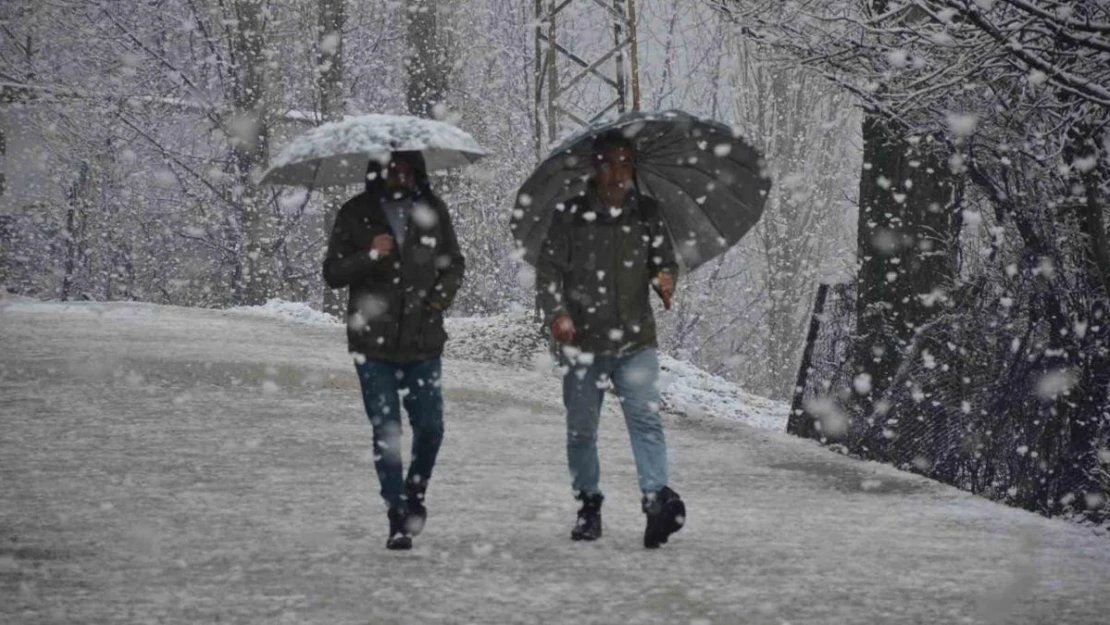 Şırnak'ta lapa lapa kar yağmaya başladı