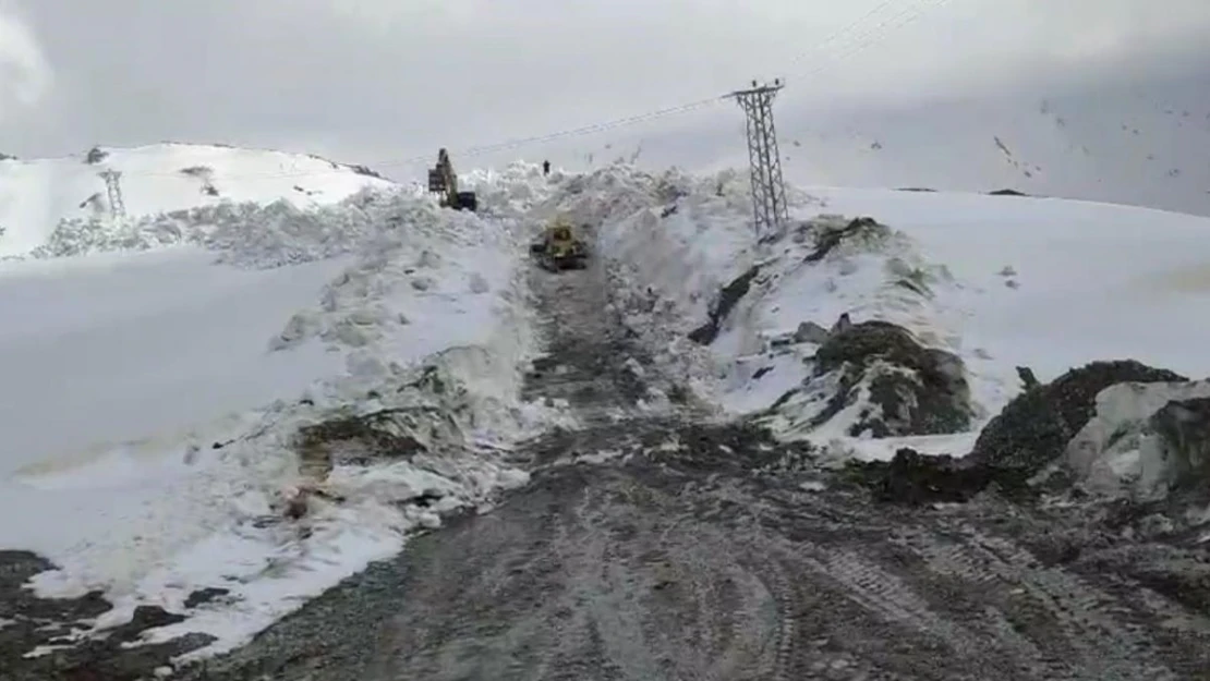 Şırnak'ta mayıs ayında 10 metrelik karda yol açma çalışmaları sürüyor