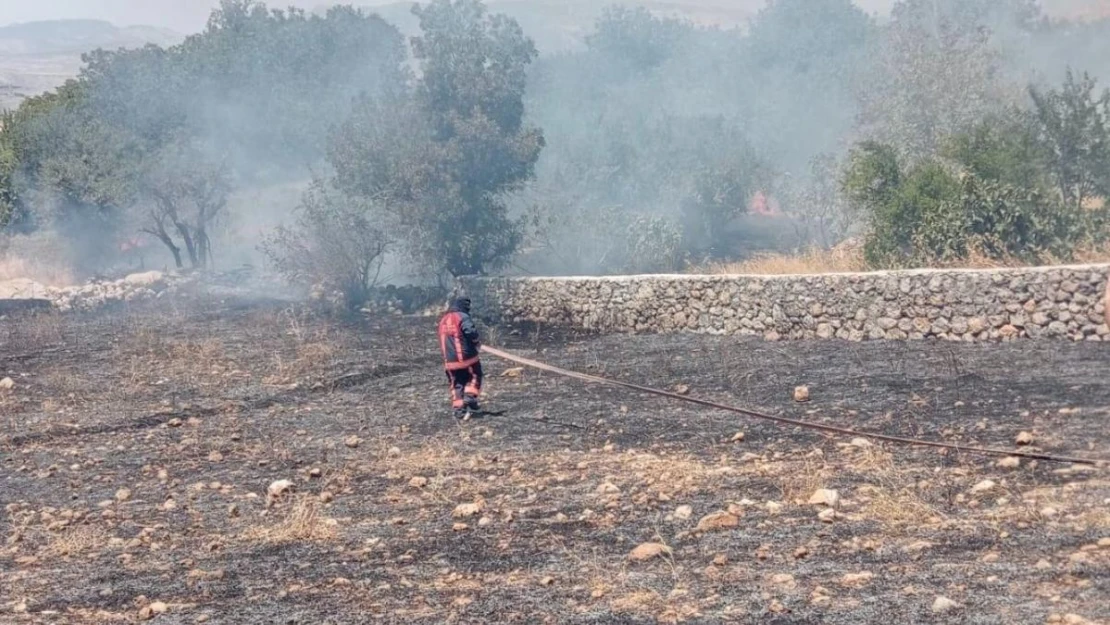 Şırnak'ta örtü yangını