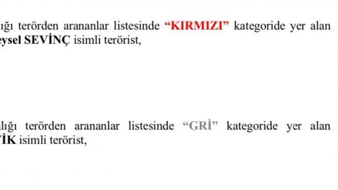 Şırnak'ta paramotor kullanarak saldırı hazırlığına girişen 4 teröristin kimlikleri tespit edildi