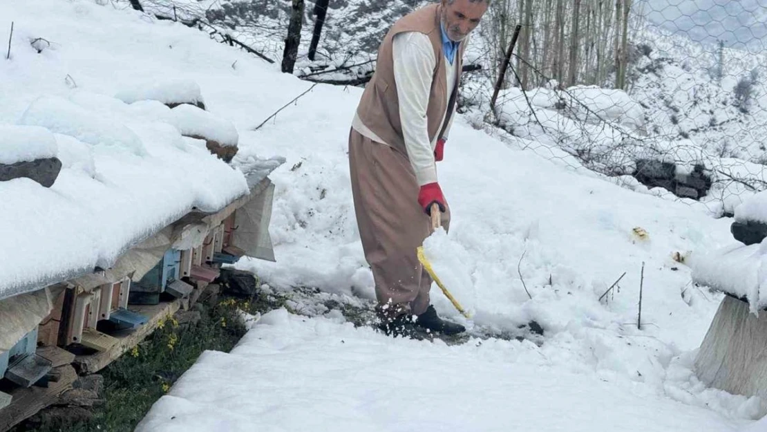 Şırnak'ta yalancı bahar, bal arılarını vurdu