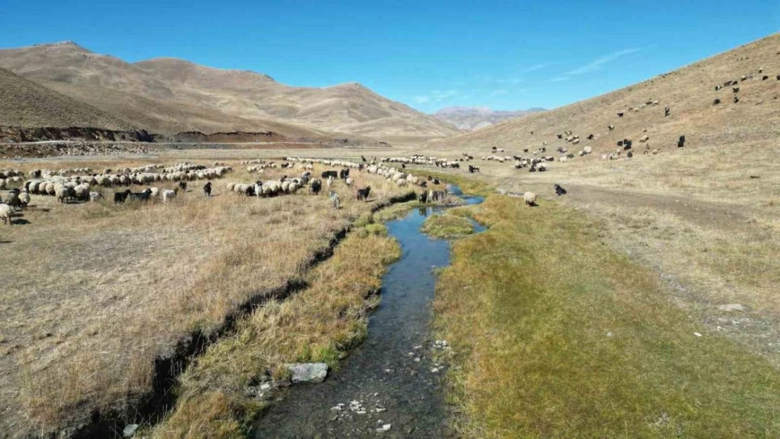 Şırnak'ta yayladan inen besici, bir aylık yolculuğuna başladı