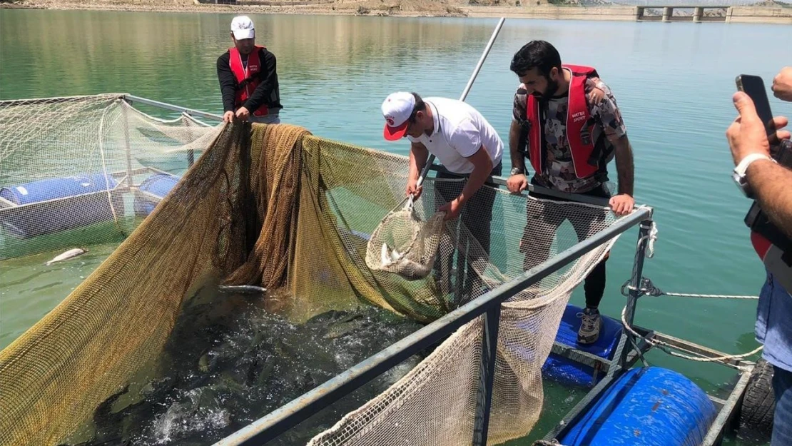 Şırnak Üniversitesi proje kapsamında 25,5 ton balık üretimi yaptı