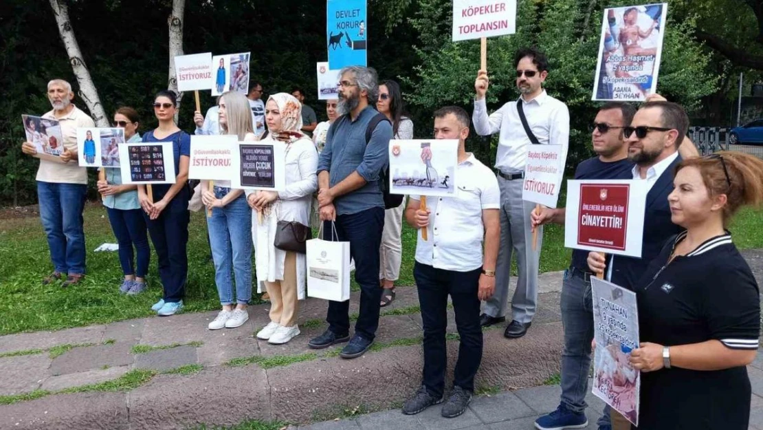 Sivil toplum kuruşlarından sahipsiz sokak hayvanları ile ilgili hazırlanan yasa tasarısına destek