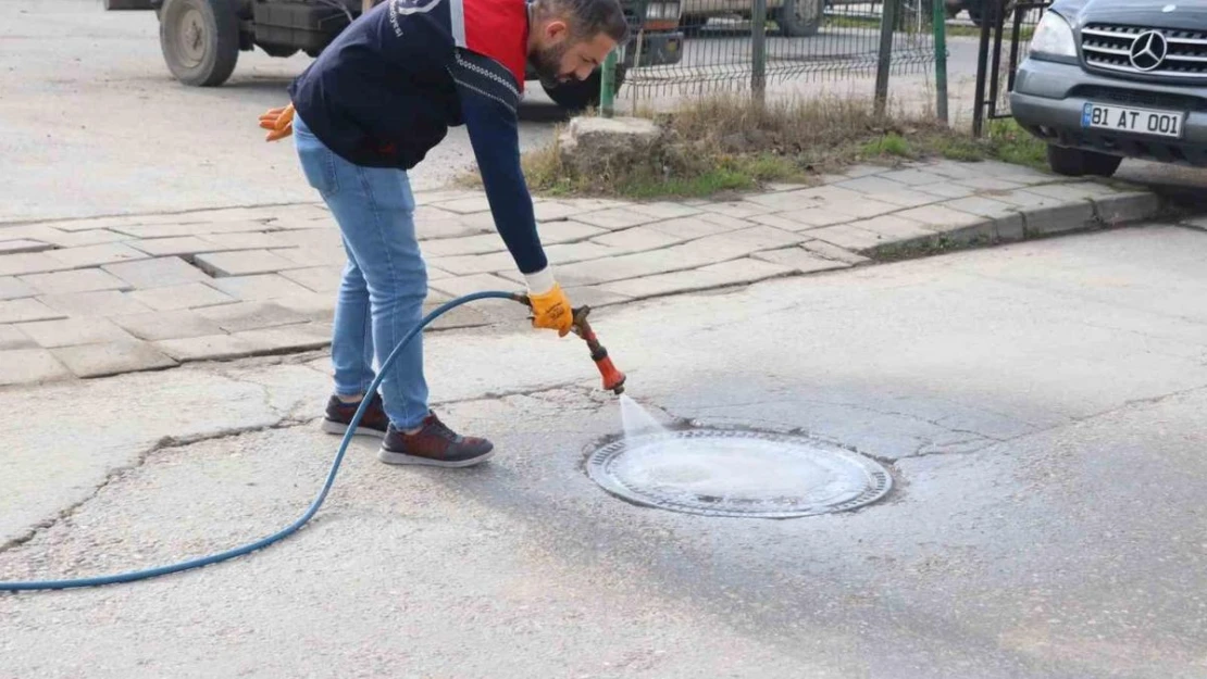 Sivrisinek ve haşere ile mücadele