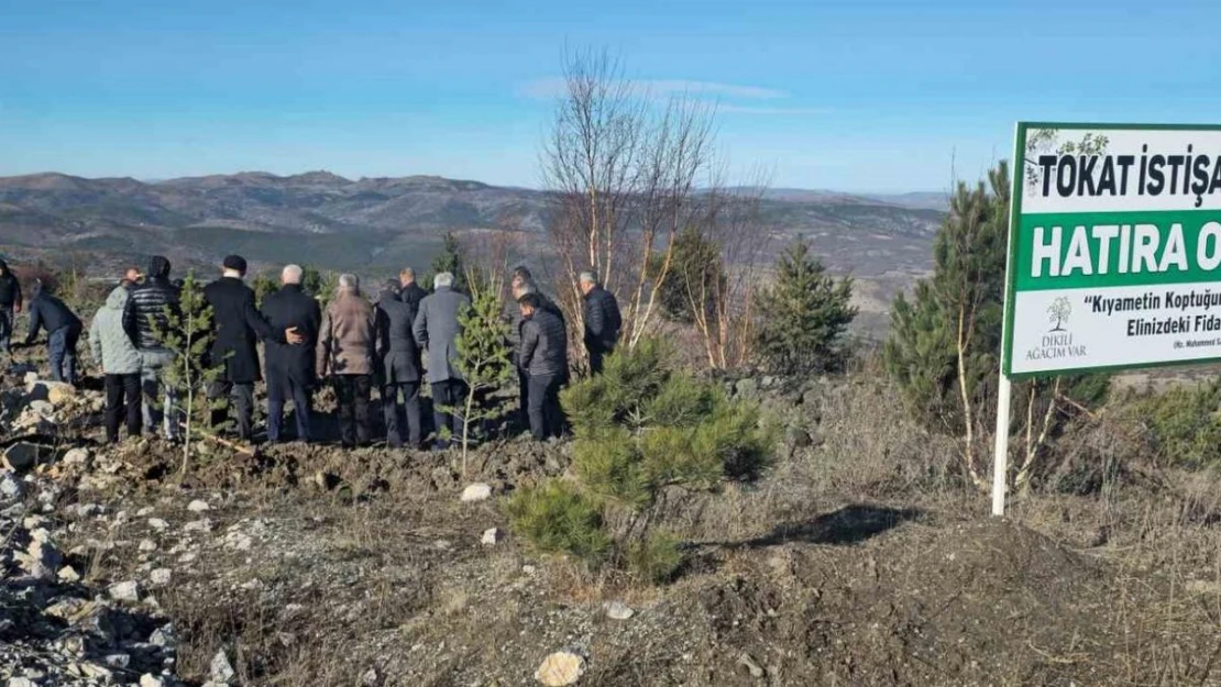 Soğuk havaya aldırmayan Tokatlılar fidan dikmek için birbirleriyle yarıştı