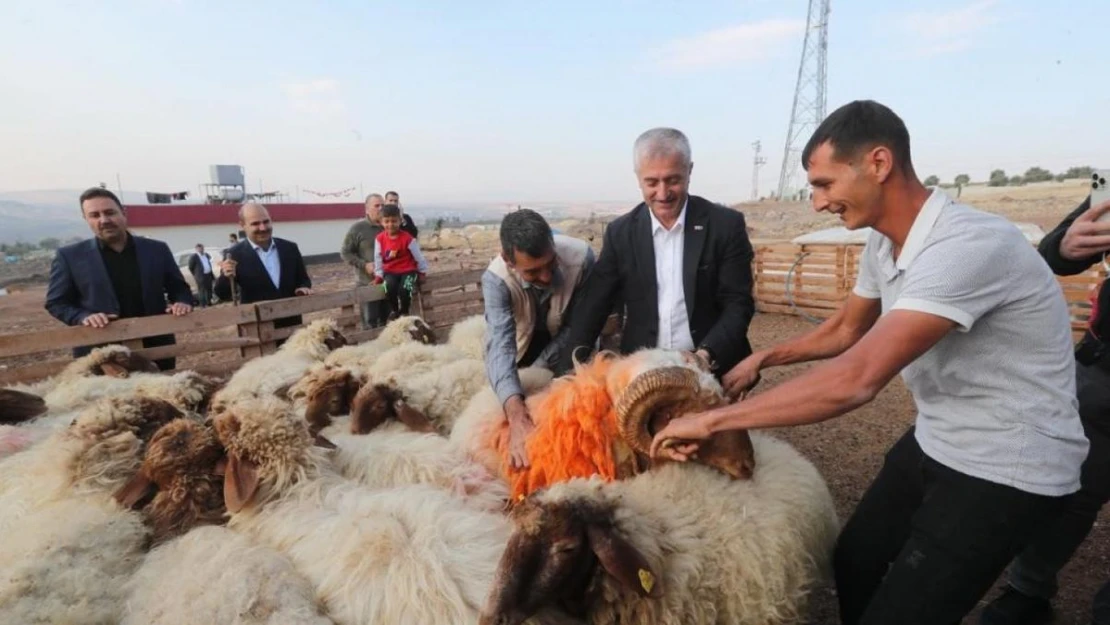 Tahmazoğlu 'Hayvancılığa desteğimiz sürecek'