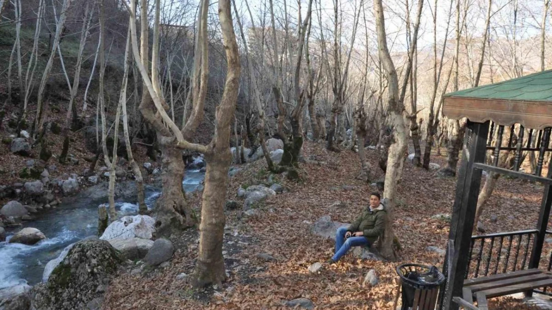 Tarihi Sevek mesire alanı fotoğraf severler için doğal stüdyo oluyor