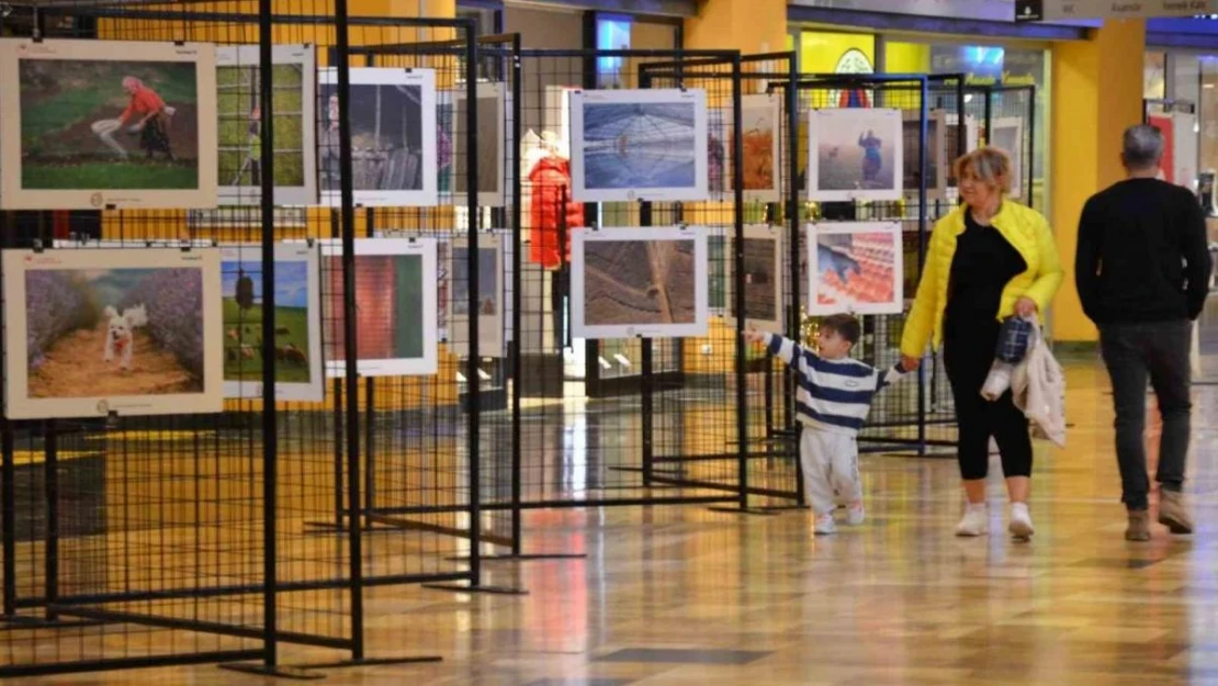 Tarım orman ve insan fotoğraflarda buluştu