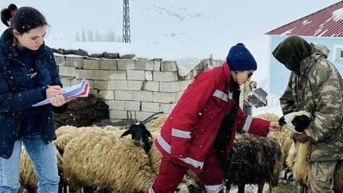 Tarım ve Orman Bakanı Yumaklı: 'Her türlü olumsuz hava koşullarına rağmen denetimler aralıksız sürüyor'