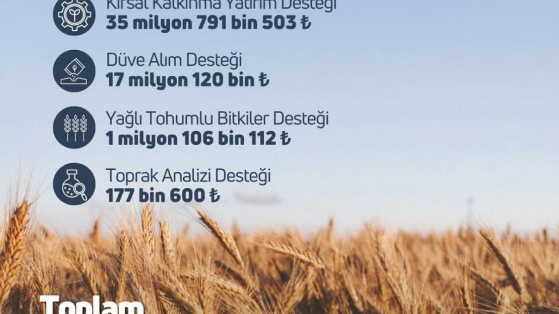 Tarım ve Orman Bakanlığı: '119,1 milyon liralık tarımsal destek ödemesi hesaplara aktarıldı'