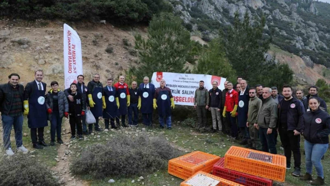 Tarım zararlılarıyla mücadele için doğaya keklik salındı