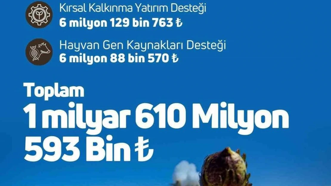 Tarımsal destekleme ödemeleri çiftçilerin hesaplarına aktarılıyor