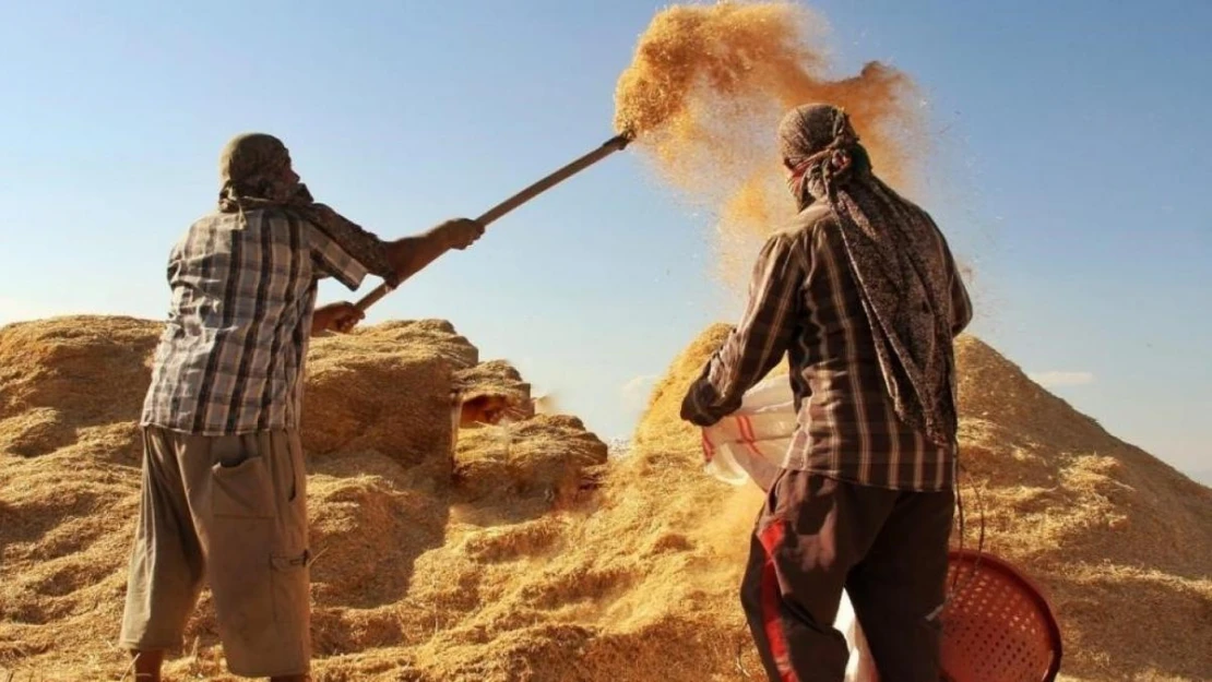 Tarımsal girdi fiyat endeksi yıllık yüzde 34,32, aylık yüzde 6,56 arttı