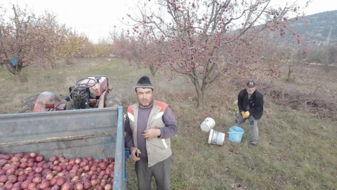 Tarlada çalışan babaya 'dron' şakası gülme krizine soktu