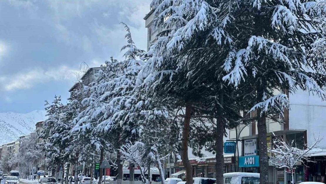 Tatvan'da araçlar kara gömüldü