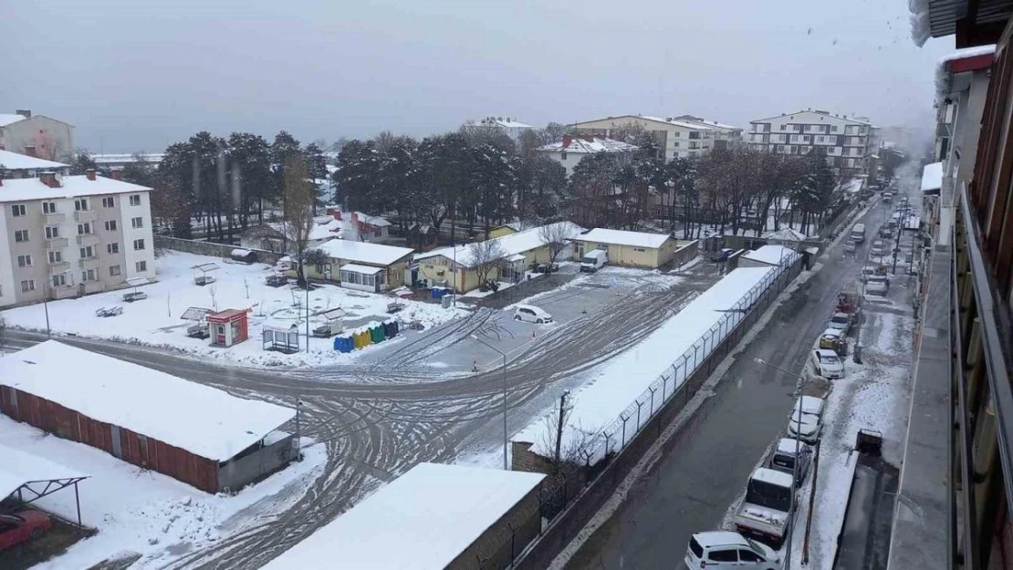 Tatvan'da kar yağışı hayatı olumsuz etkiliyor