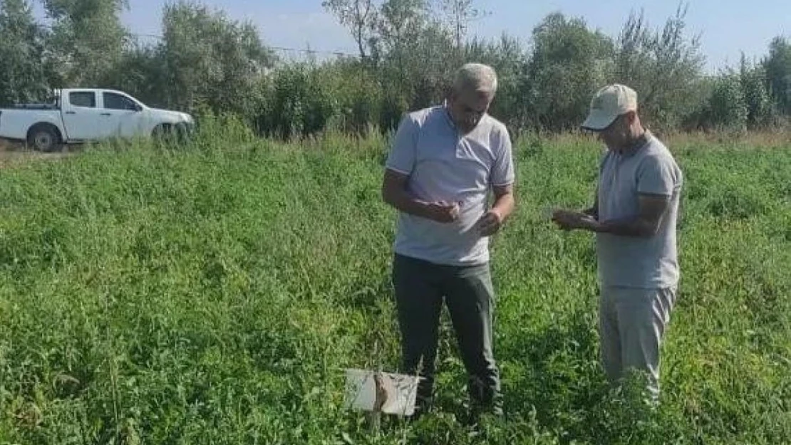 Tatvanlı çiftçilere 'Feromon Tuzağı' desteği