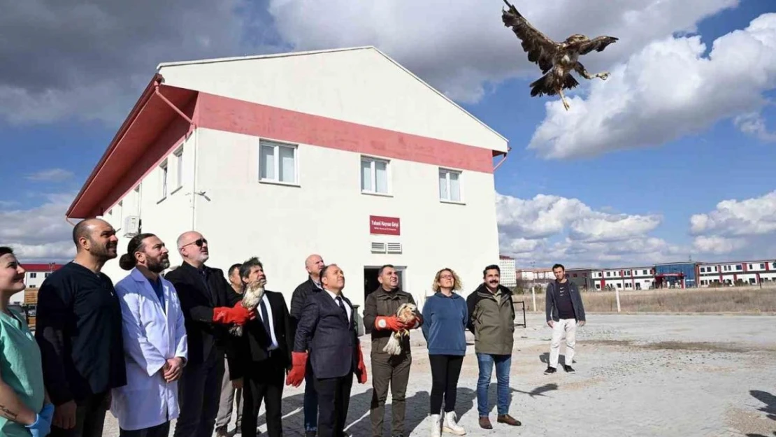 Tedavisi tamamlanan yırtıcı kuşlar doğaya salındı