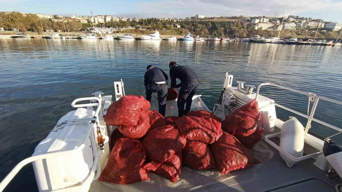 Tekirdağ'da 1,5 ton karakıllı midye ele geçirildi