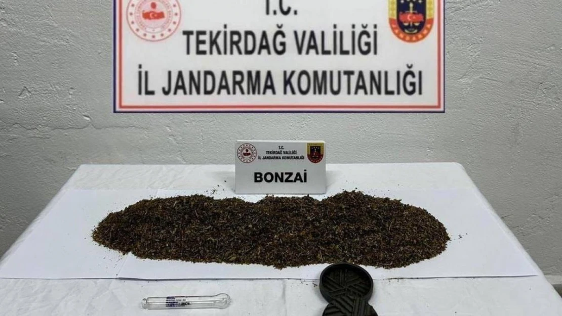 Tekirdağ'da 2 kişi uyuşturucudan yakalandı