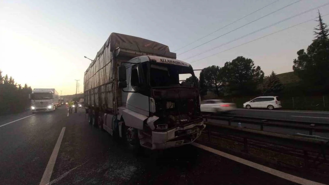 TEM'de tır ile kamyon çarpıştı: Sürücüyü vatandaşlar ön camdan çıkardı