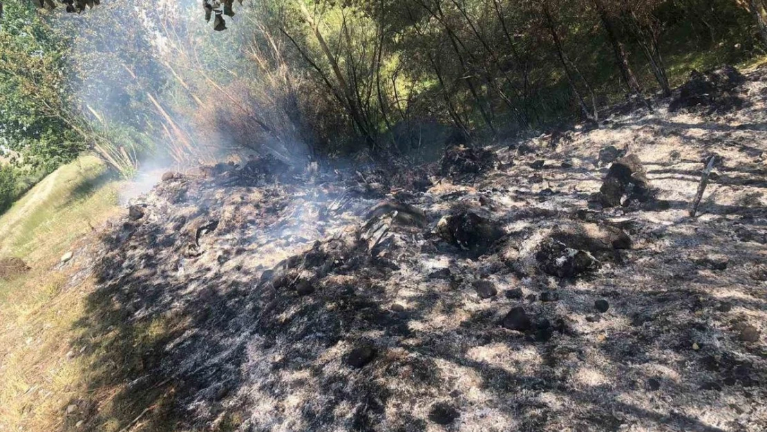 Tercan'da örtü yangını büyümeden söndürüldü