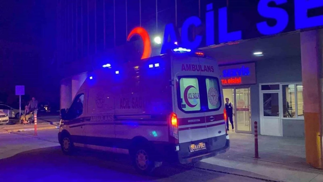 Tercan'da trafik kazası: 7 yaralı