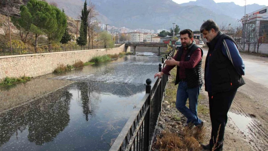 Tersakan Çayı kirlilik nedeniyle köpürdü: 'Uykularımız kaçıyor'