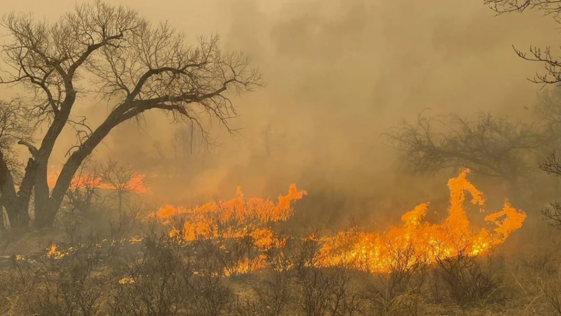 Texas'taki orman yangınlarında 1 kişi hayatını kaybetti